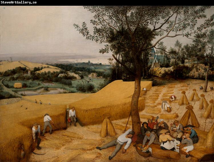 BRUEGEL, Pieter the Elder The Corn Harvest (mk08)